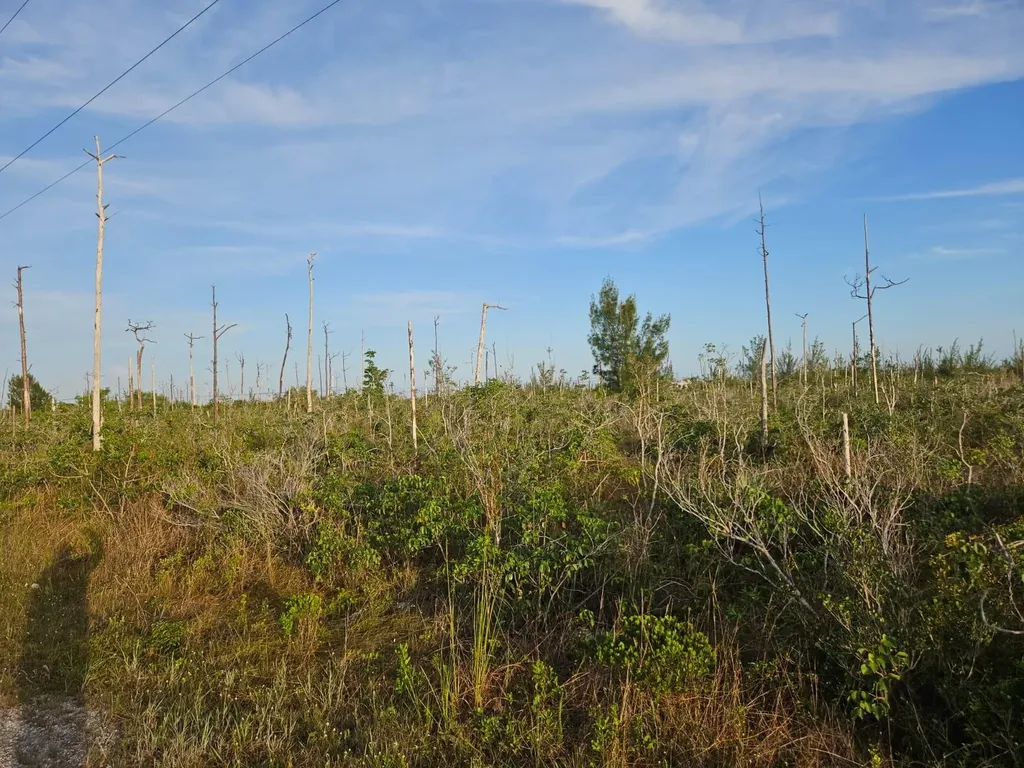 Heybridge Drive 9 Grand Bahama Freeport BS