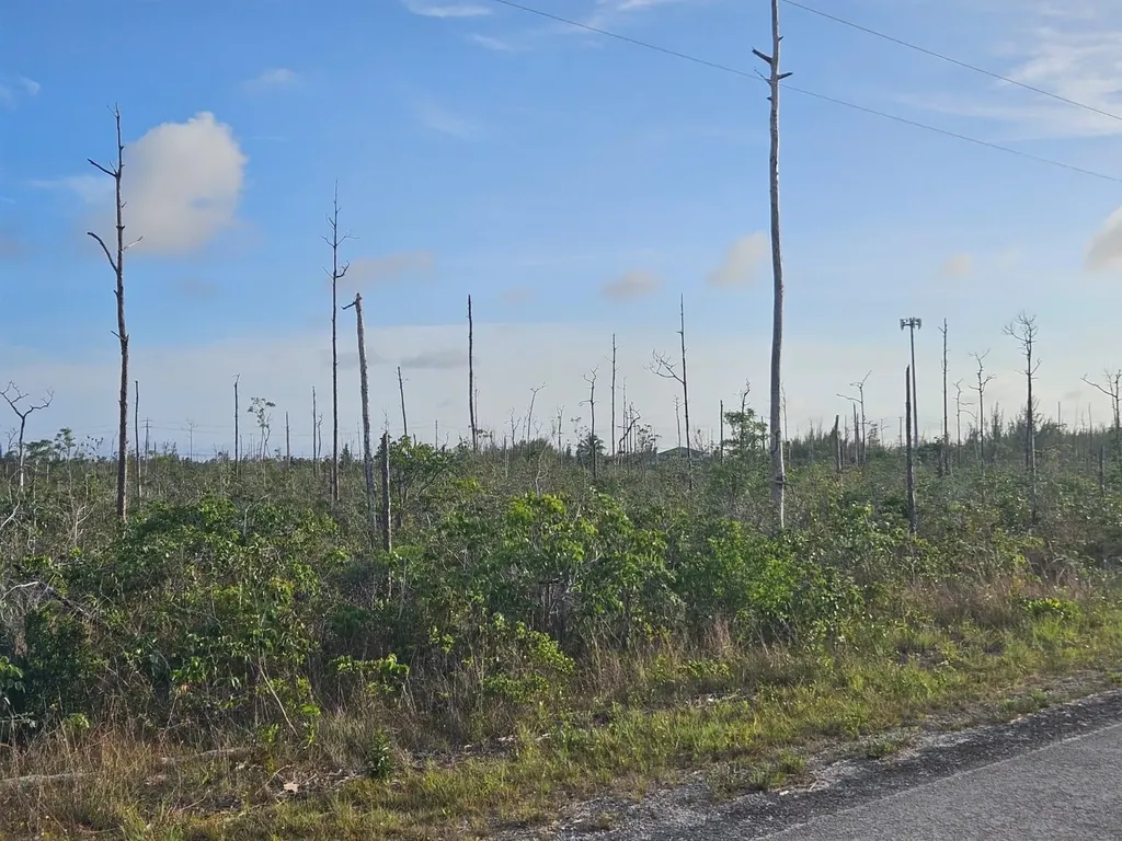 Heybridge Drive 6 Grand Bahama Freeport BS