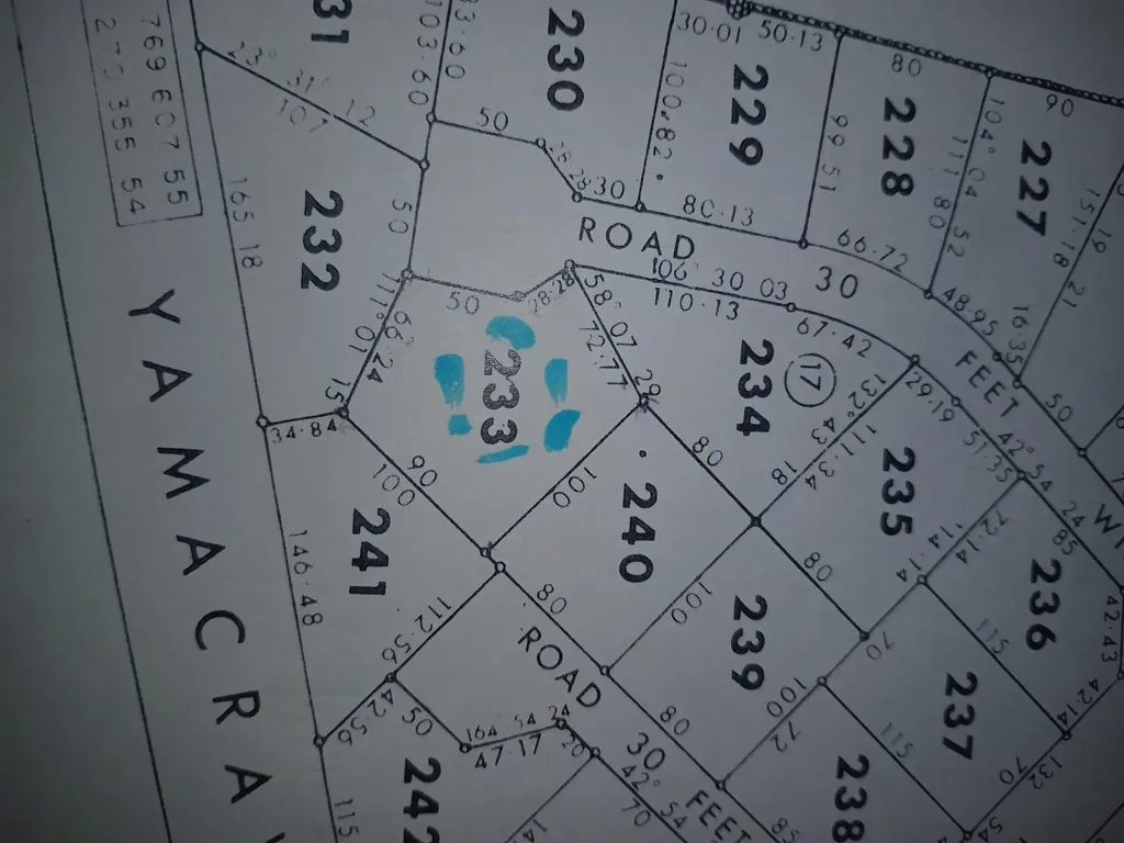 Wild Pigeon Close Winton New Providence Paradise Island BS