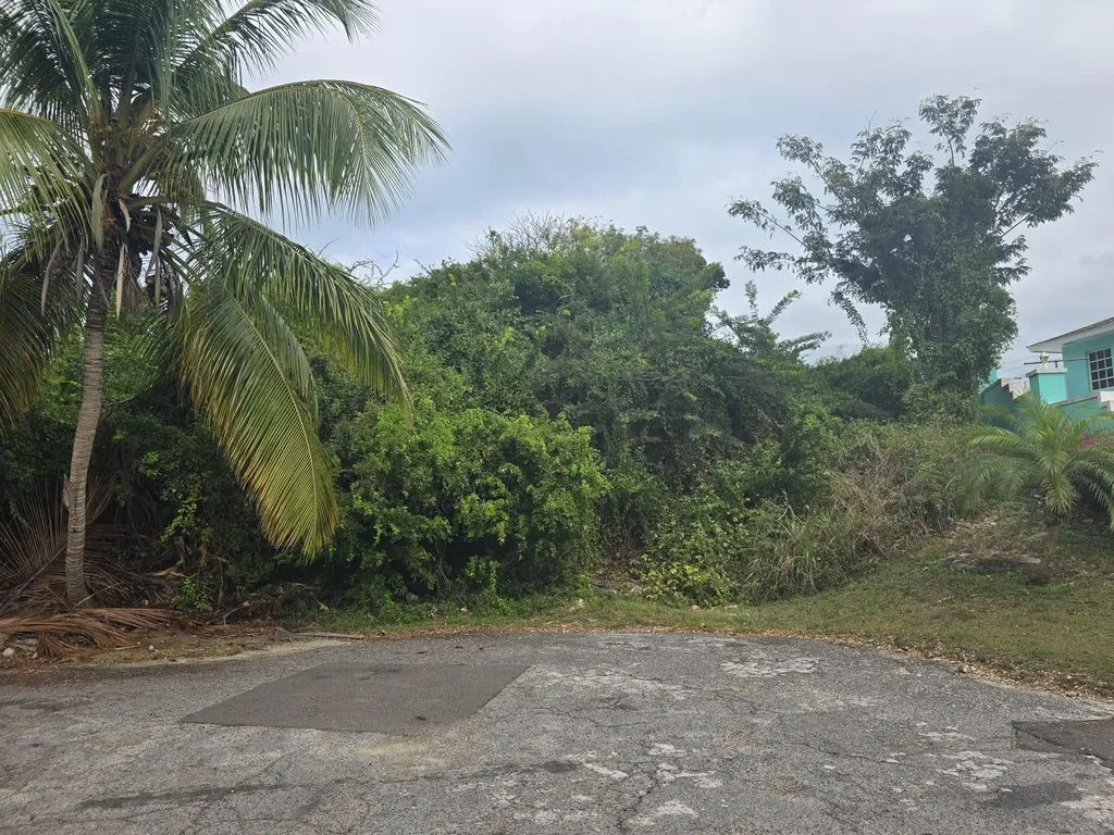 Wild Pigeon Close Winton New Providence Paradise Island BS