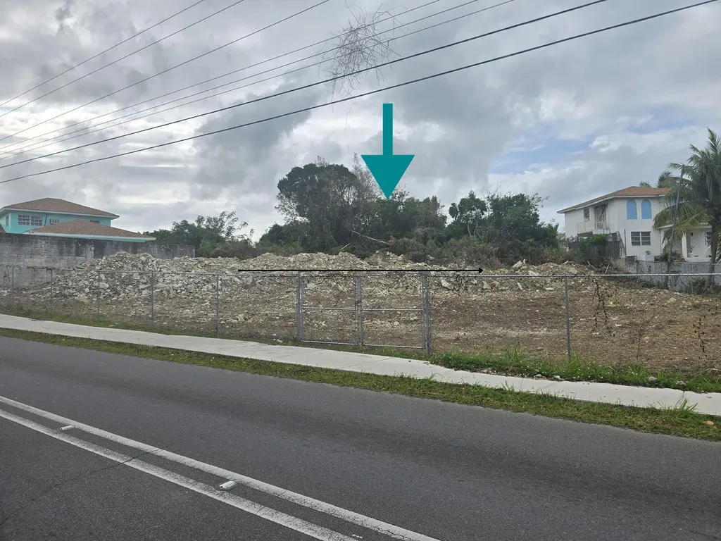 Wild Pigeon Close Winton New Providence Paradise Island BS