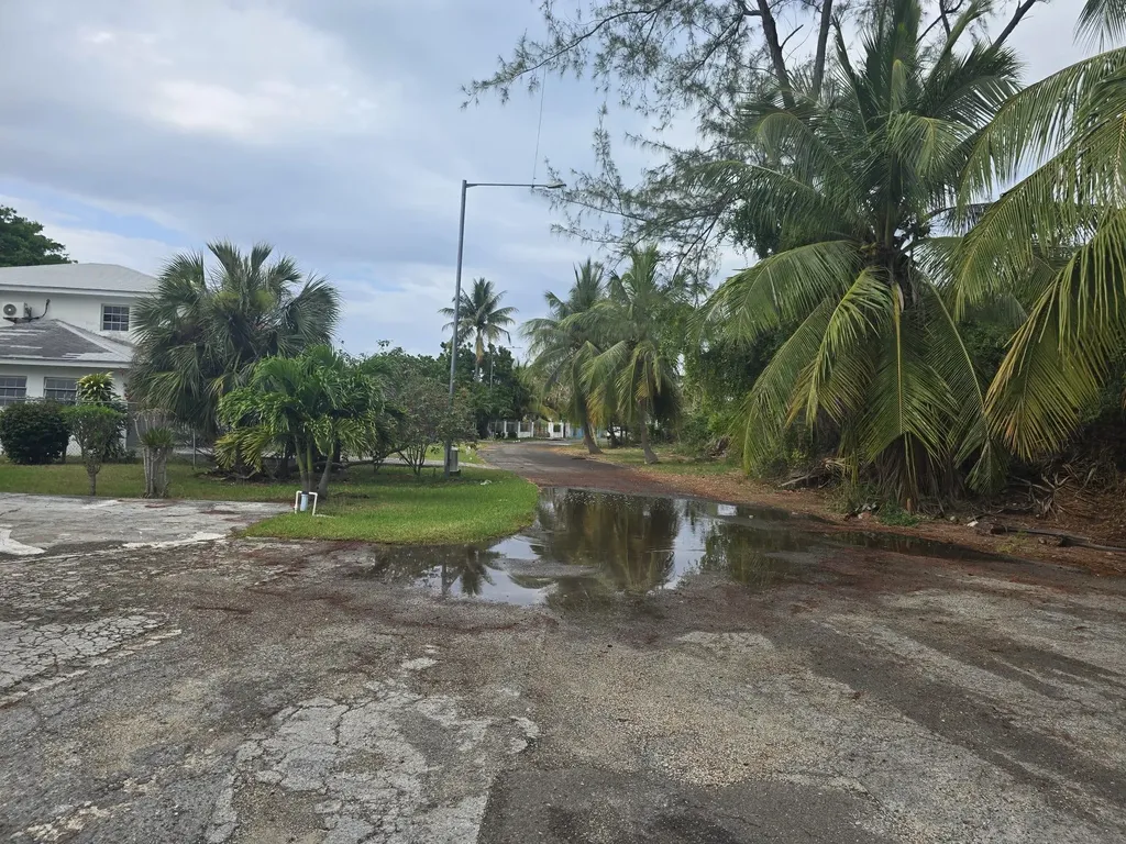 Wild Pigeon Close Winton New Providence Paradise Island BS