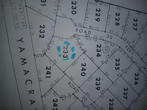 Wild Pigeon Close Winton New Providence Paradise Island BS