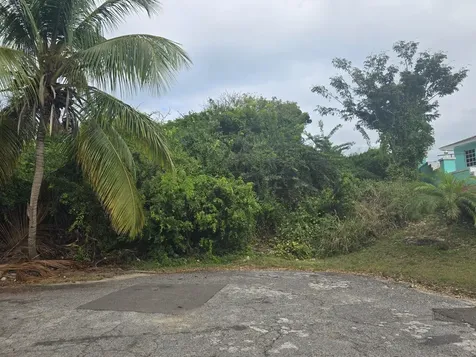 Wild Pigeon Close Winton New Providence Paradise Island BS