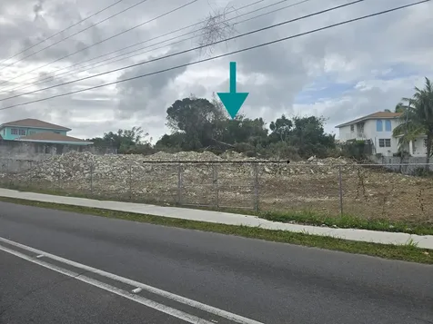 Wild Pigeon Close Winton New Providence Paradise Island BS