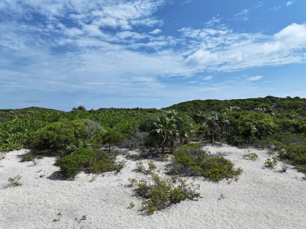 20 Acres Farmer's Cay Exuma BS