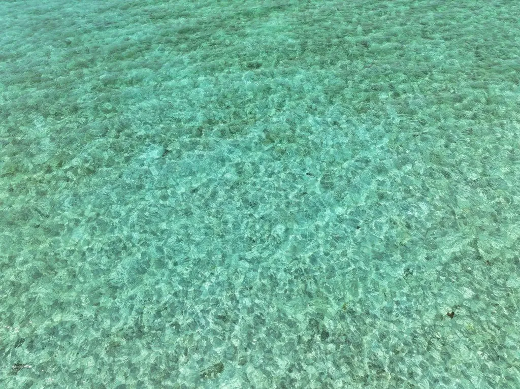 20 Acres Farmer's Cay Exuma BS