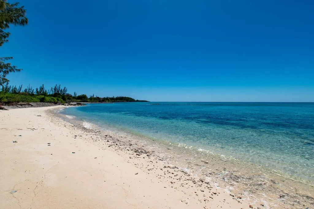 Starfish 9 Cape Eleuthera Eleuthera BS