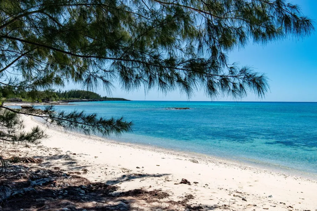 Starfish 9 Cape Eleuthera Eleuthera BS