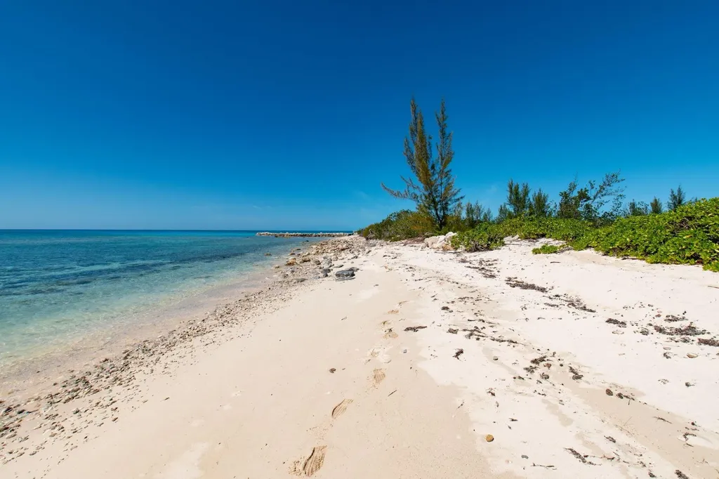 Starfish 9 Cape Eleuthera Eleuthera BS