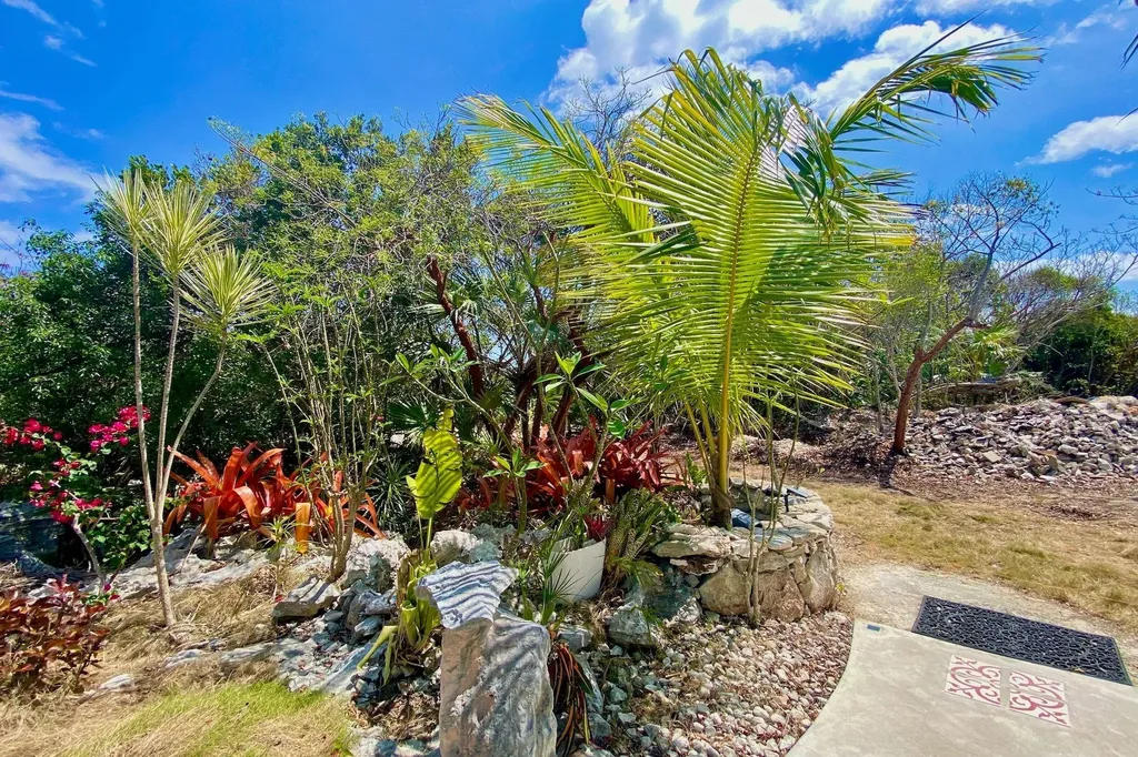 La Pazita Eleuthera BS