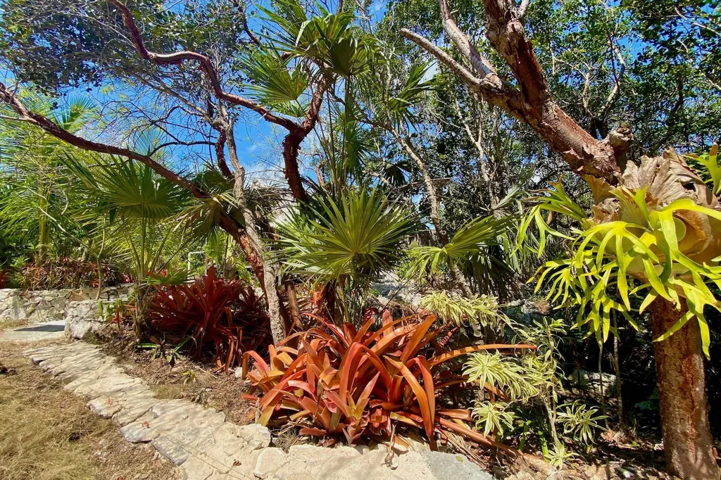 La Pazita Eleuthera BS