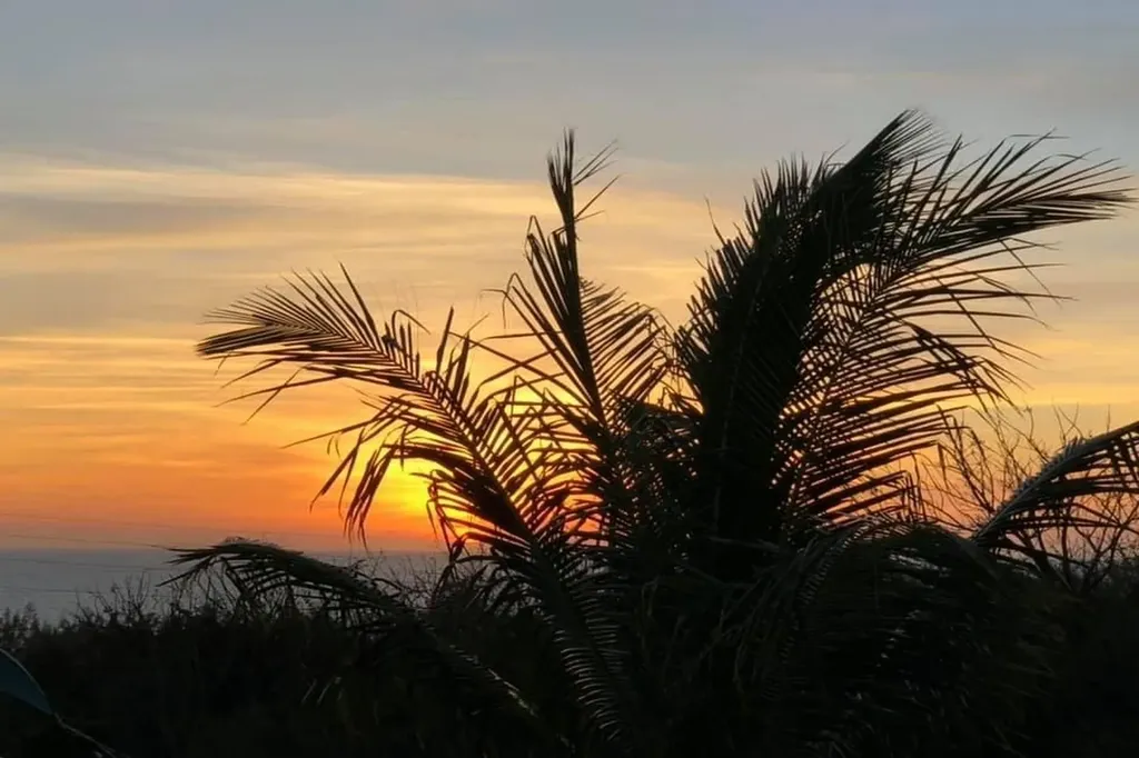 La Pazita Eleuthera BS