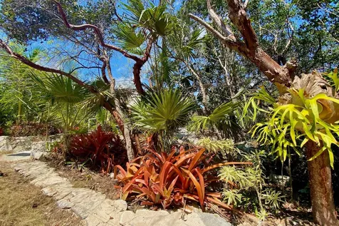 La Pazita Eleuthera BS