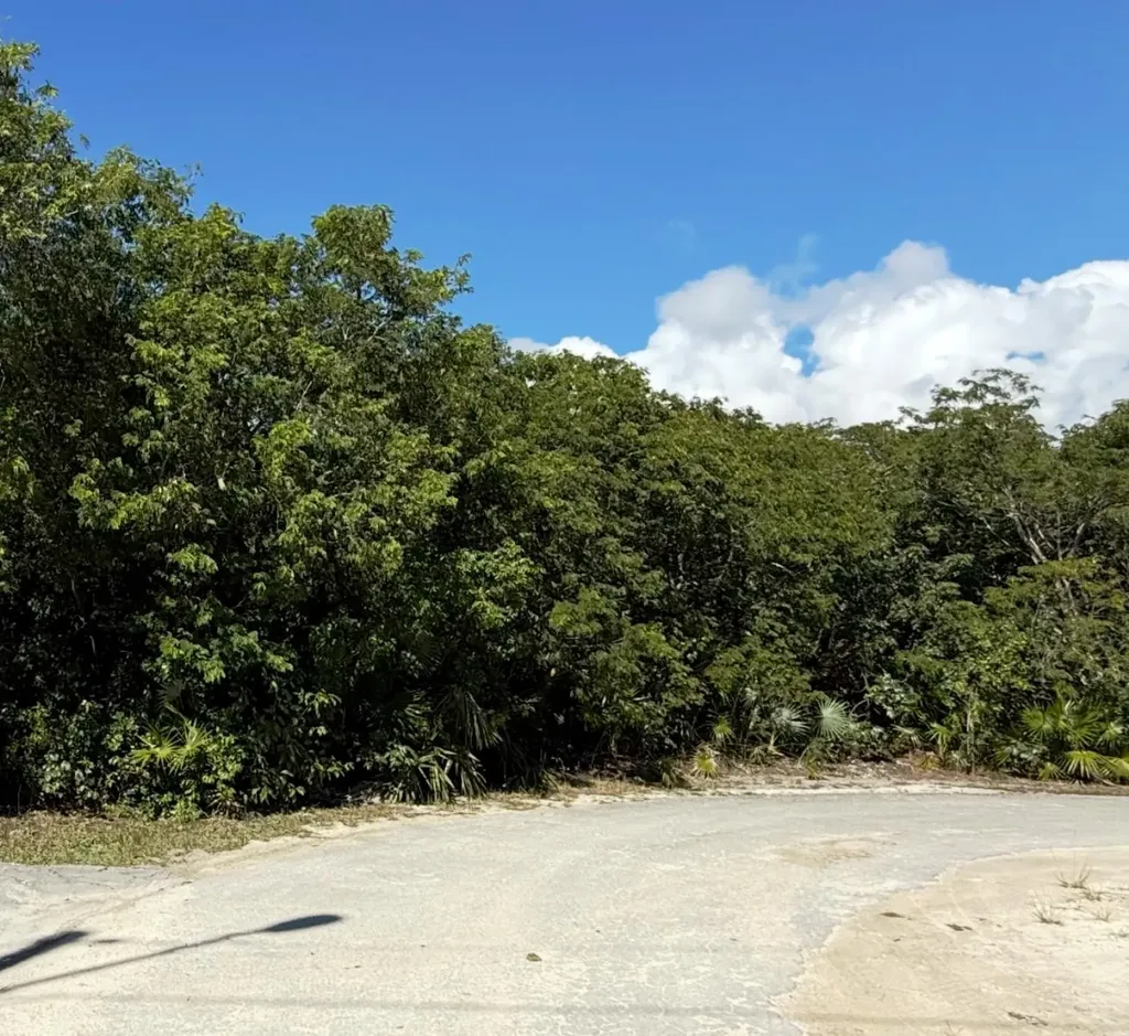 Dundas Town Lot Abaco BS