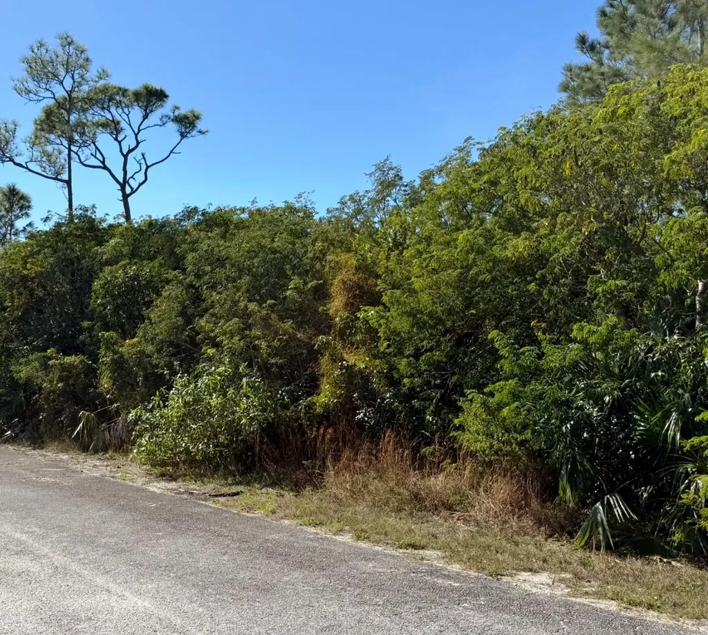 Dundas Town Lot Abaco BS