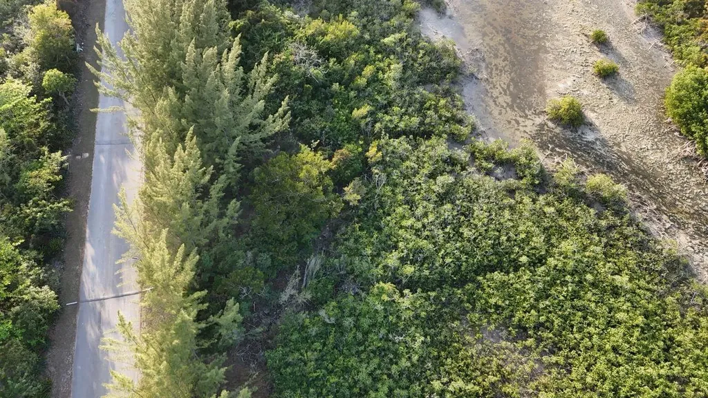 South Seas Estates New Providence Paradise Island BS