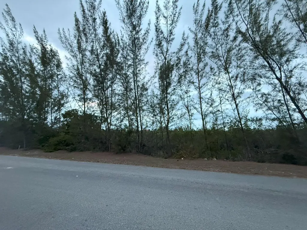 South Seas Estates New Providence Paradise Island BS