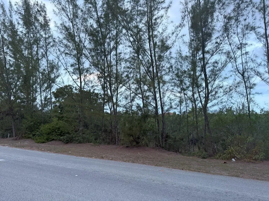 South Seas Estates New Providence Paradise Island BS