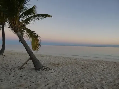 Riviera Towers Grand Bahama Freeport BS