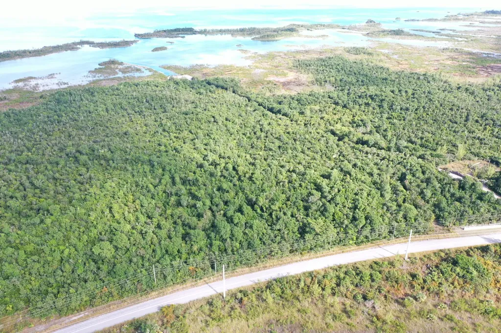 Hills Creek B-115 Abaco BS