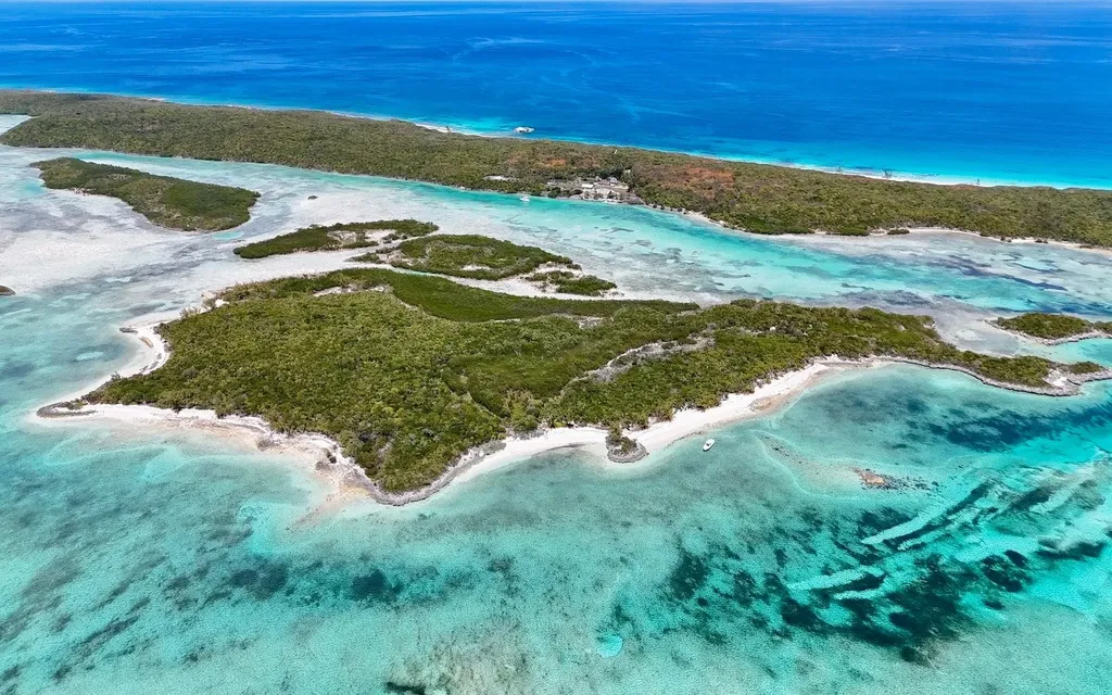 Sand Dollar Cay Berry Islands BS