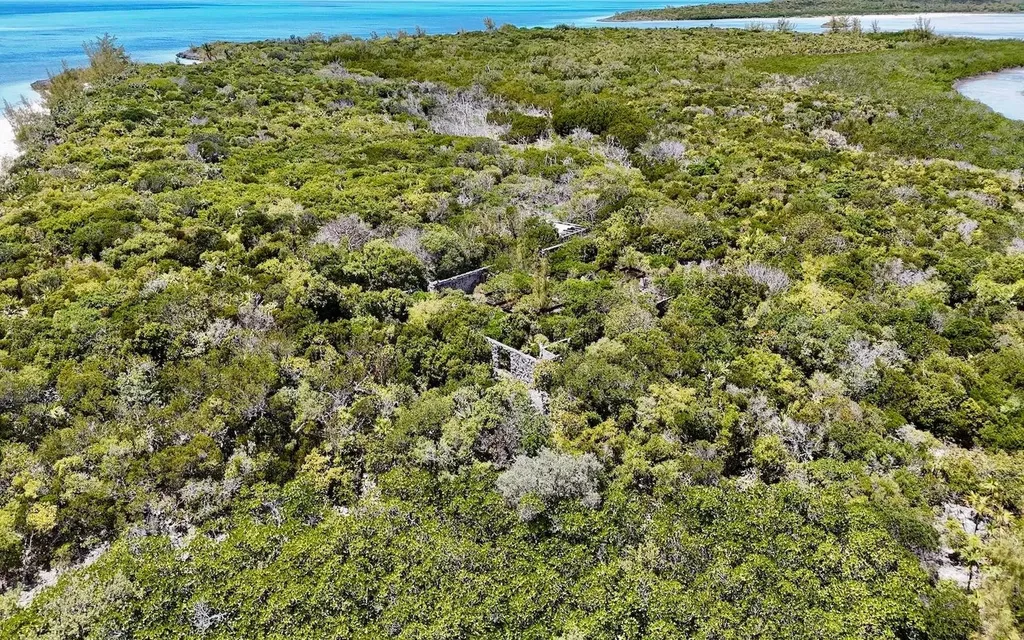 Sand Dollar Cay Berry Islands BS