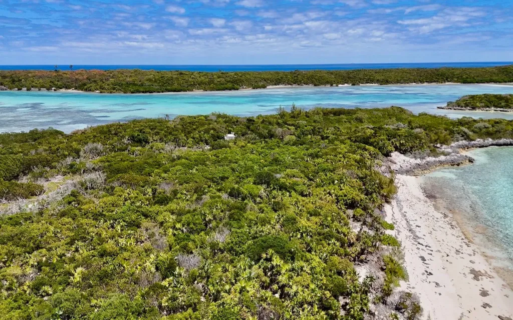 Sand Dollar Cay Berry Islands BS