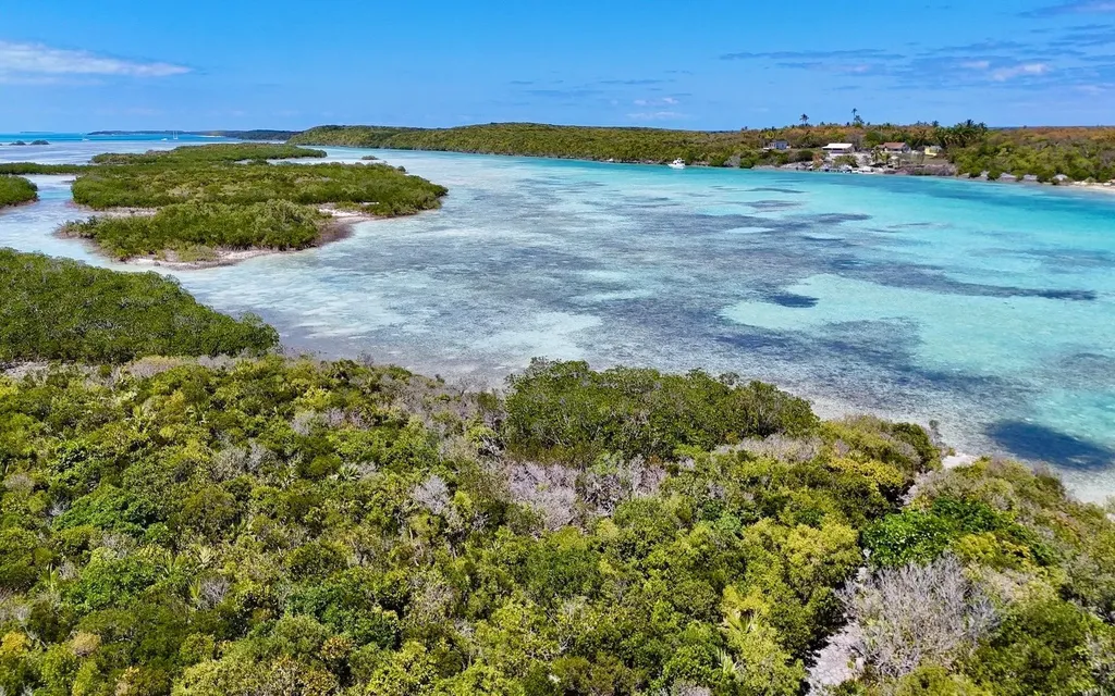 Sand Dollar Cay Berry Islands BS