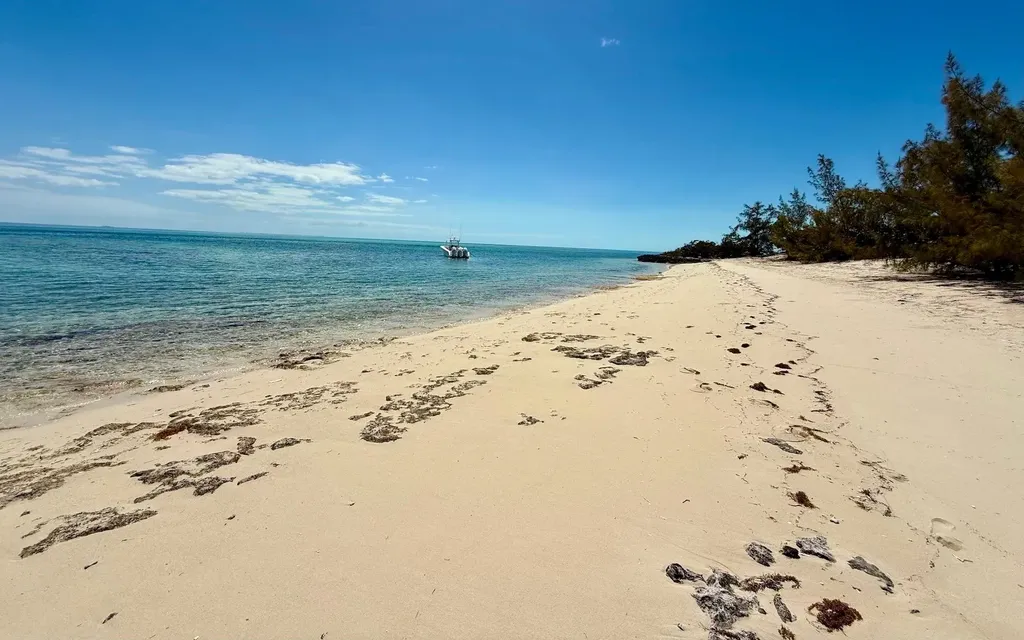 Sand Dollar Cay Berry Islands BS
