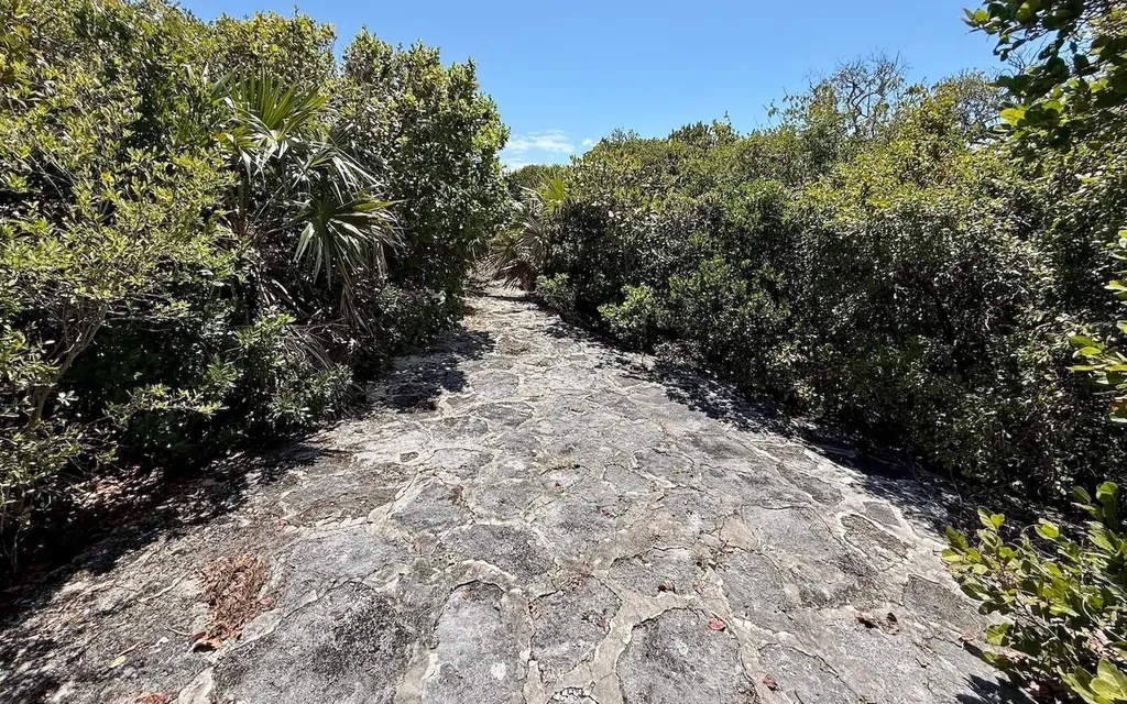 Sand Dollar Cay Berry Islands BS