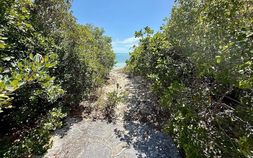 Sand Dollar Cay Berry Islands BS