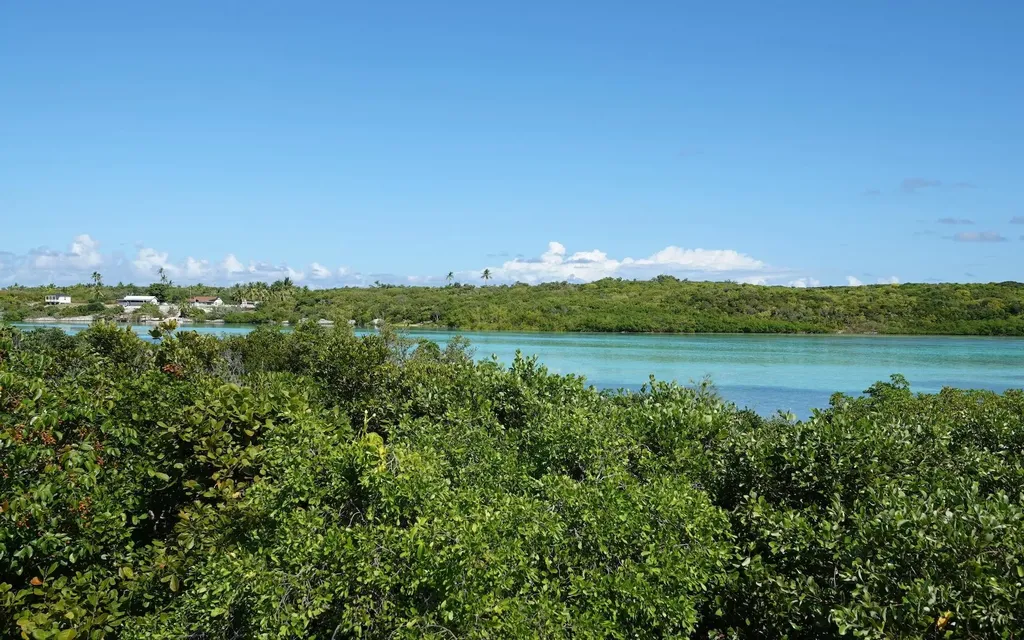 Sand Dollar Cay Berry Islands BS