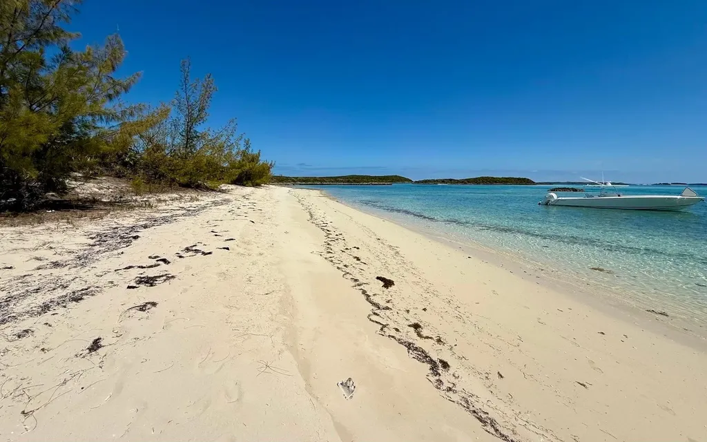 Sand Dollar Cay Berry Islands BS