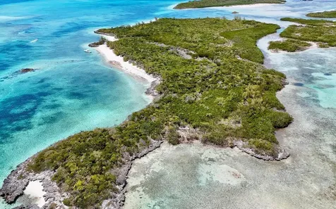 Sand Dollar Cay Berry Islands BS
