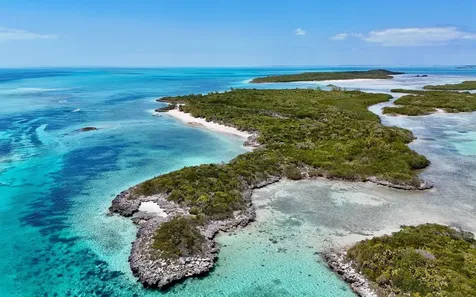 Sand Dollar Cay Berry Islands BS