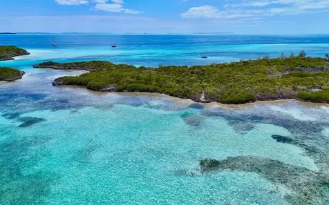 Sand Dollar Cay Berry Islands BS