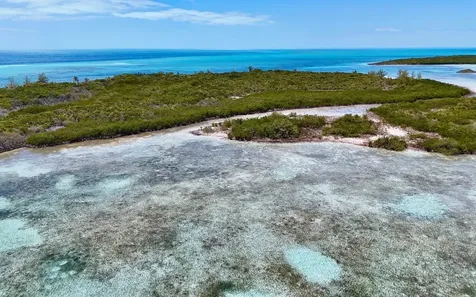Sand Dollar Cay Berry Islands BS