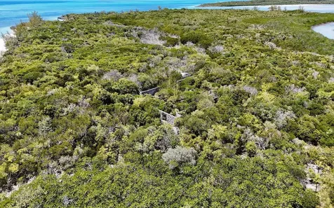 Sand Dollar Cay Berry Islands BS