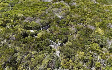 Sand Dollar Cay Berry Islands BS