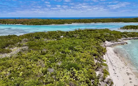 Sand Dollar Cay Berry Islands BS