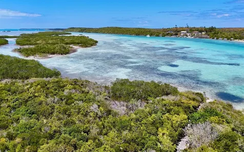 Sand Dollar Cay Berry Islands BS