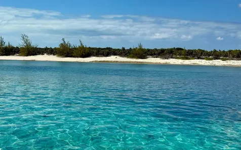 Sand Dollar Cay Berry Islands BS