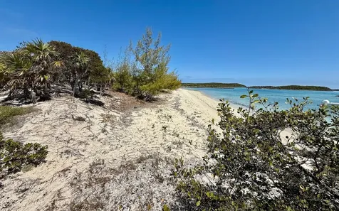 Sand Dollar Cay Berry Islands BS