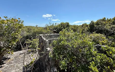 Sand Dollar Cay Berry Islands BS
