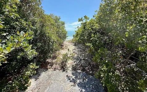 Sand Dollar Cay Berry Islands BS