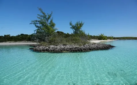 Sand Dollar Cay Berry Islands BS