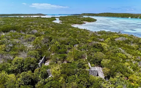 Sand Dollar Cay Berry Islands BS