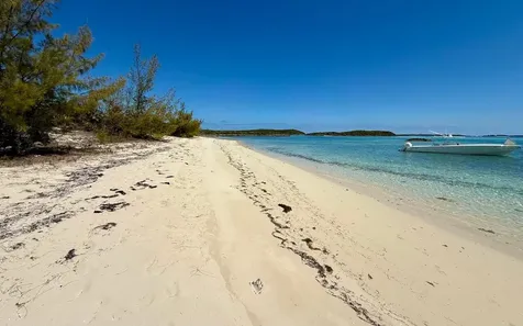 Sand Dollar Cay Berry Islands BS