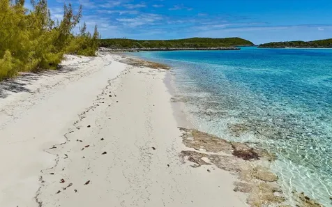 Sand Dollar Cay Berry Islands BS